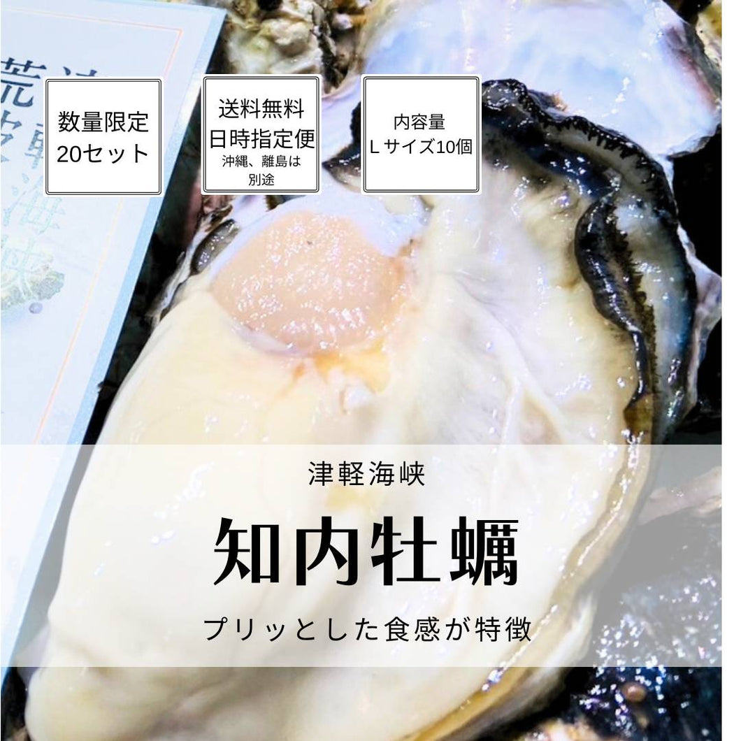 津軽海峡　知内牡蠣